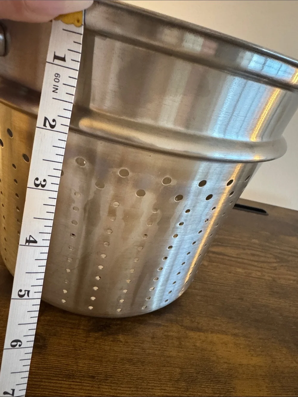 Stainless Steel Pasta/Vegetable Steamer Insert - Silver